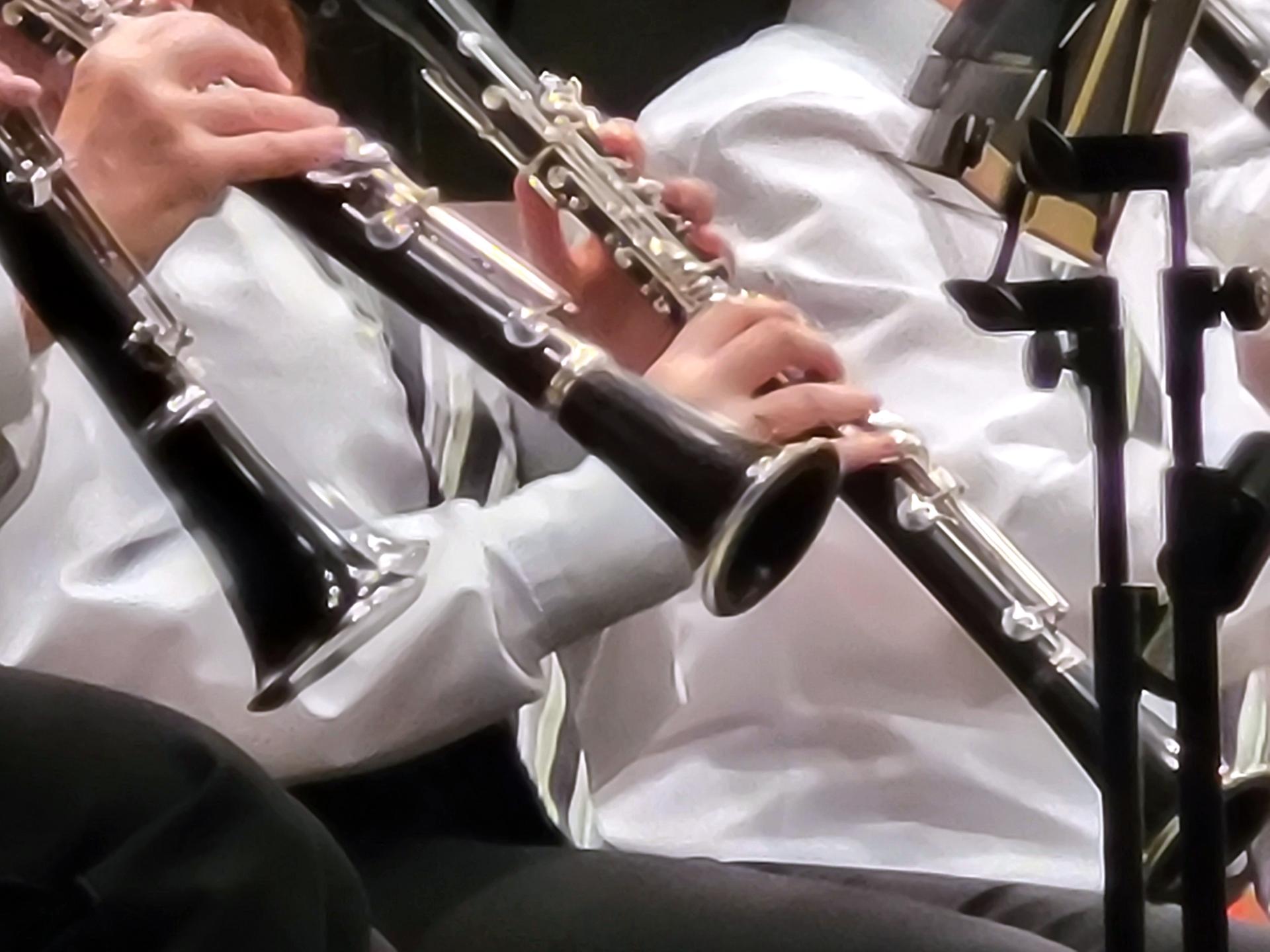 Jahreskonzert Harmonie Berikon